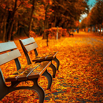 无限呼叫别人电话的软件